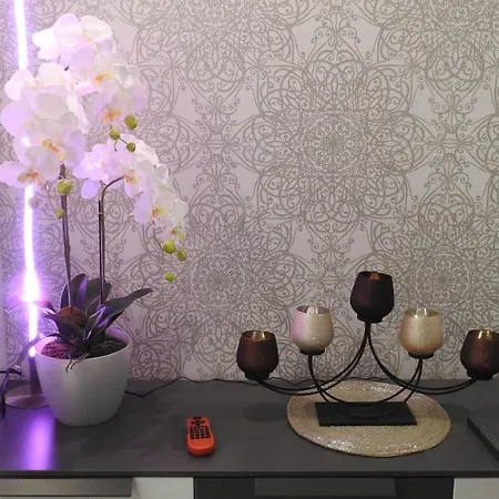 Apartma Nest *